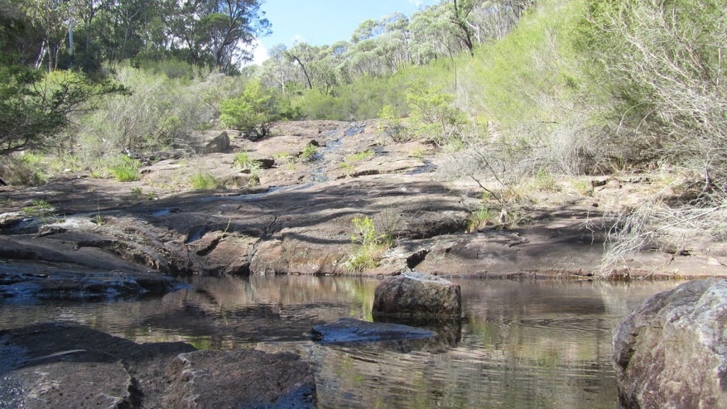 Bush Walk 2 2013: Paddy’s Waterfall (mount Barney Np) 